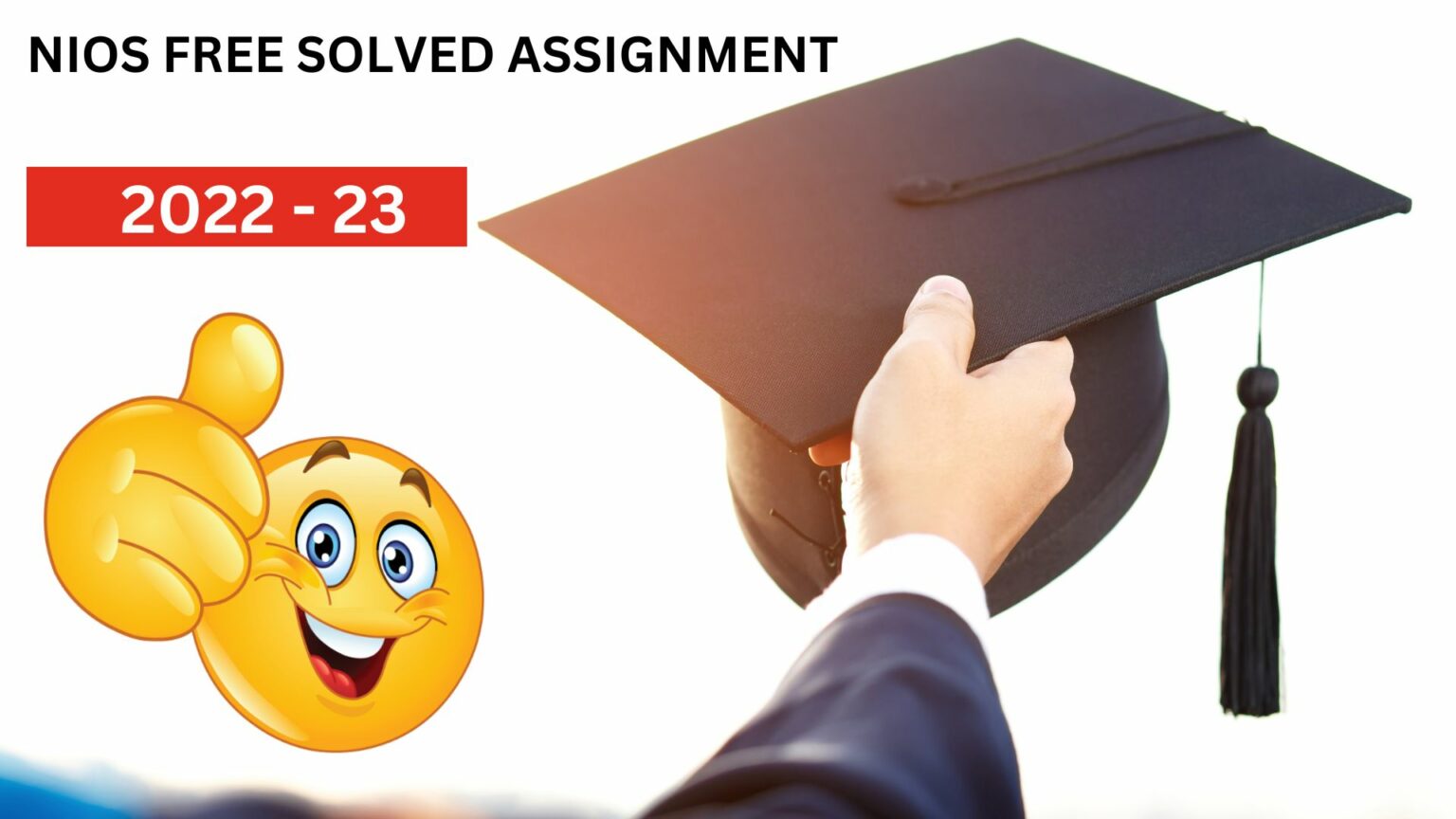 free solved assignment