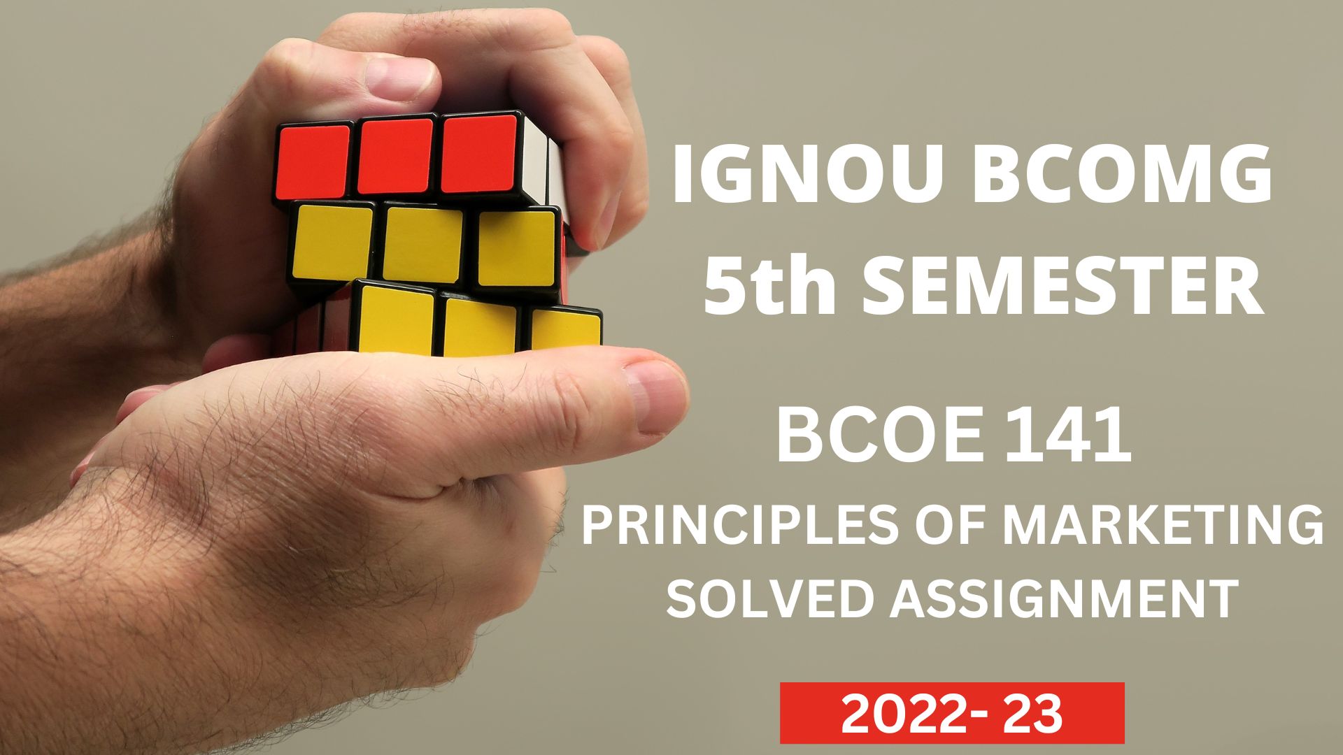 bcoe 141 solved assignment