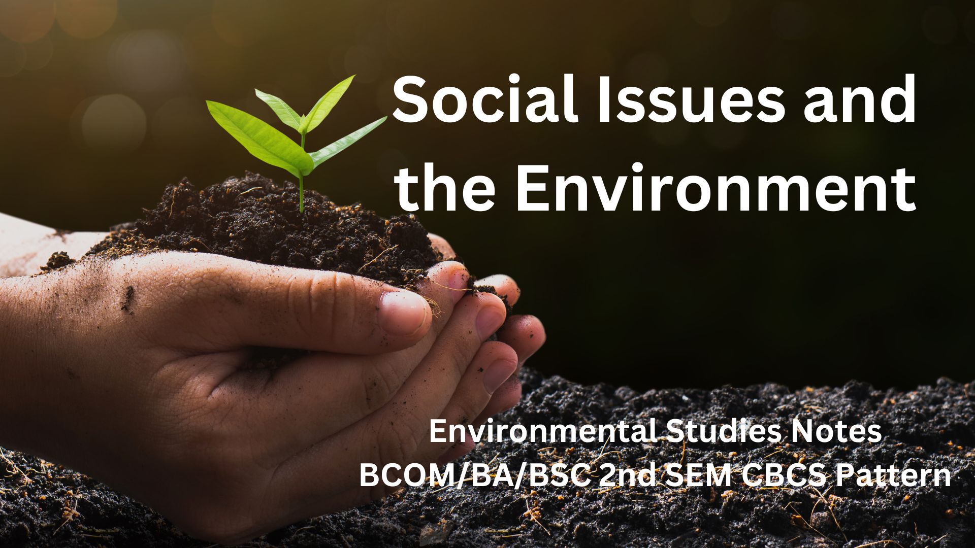 Social Issues and the Environment 